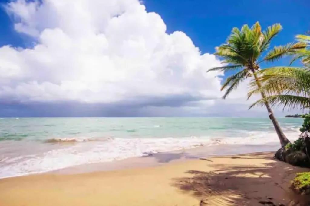 Fall In Love To Endless Summer. Charm And Private Lägenhet Loíza Exteriör bild